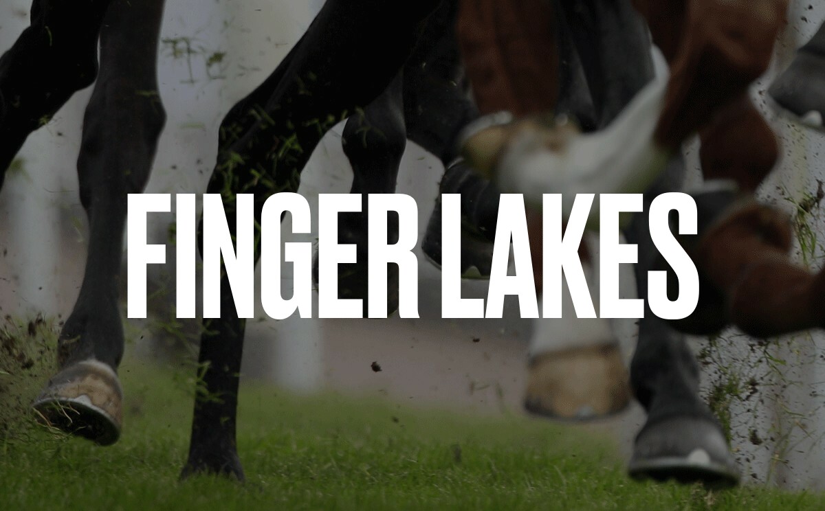 Bars showing Finger Lakes Tue 22 Oct FANZO Australia pub finder
