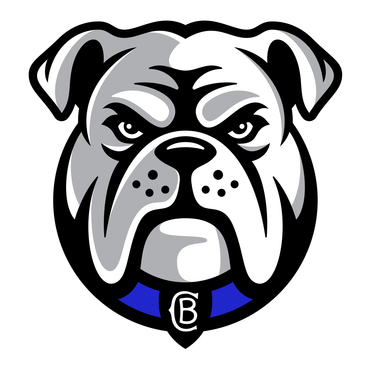 Canterbury-Bankstown Bulldogs