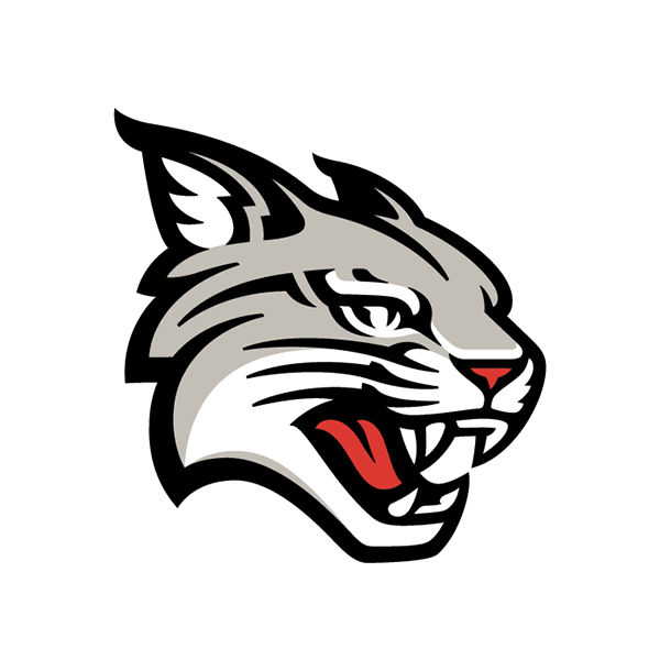 Davidson Wildcats