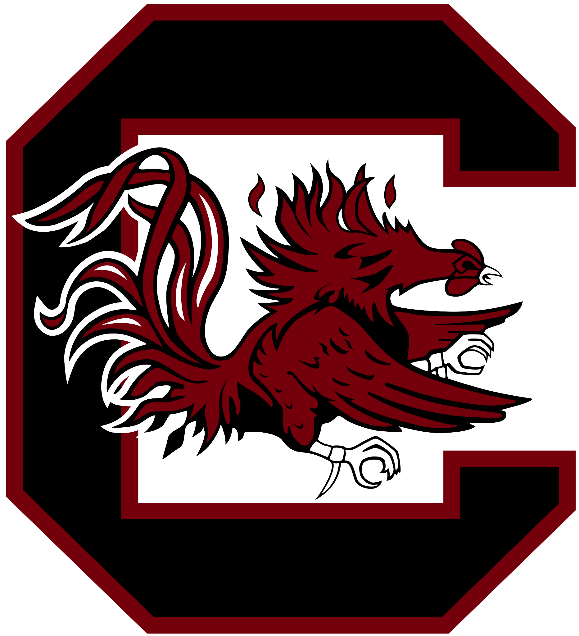 South Carolina Gamecocks