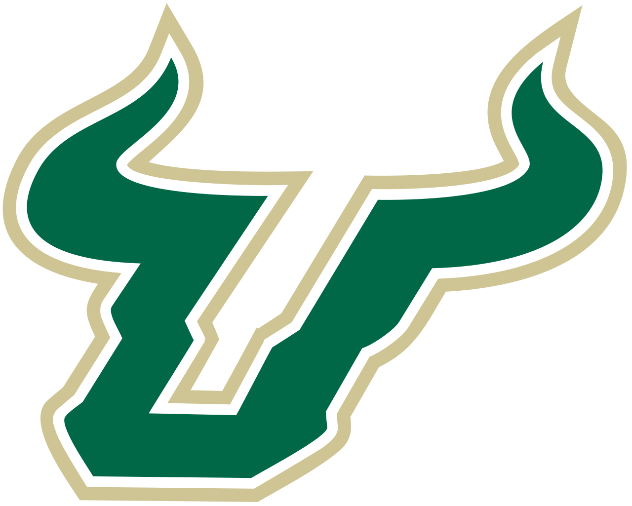 South Florida Bulls